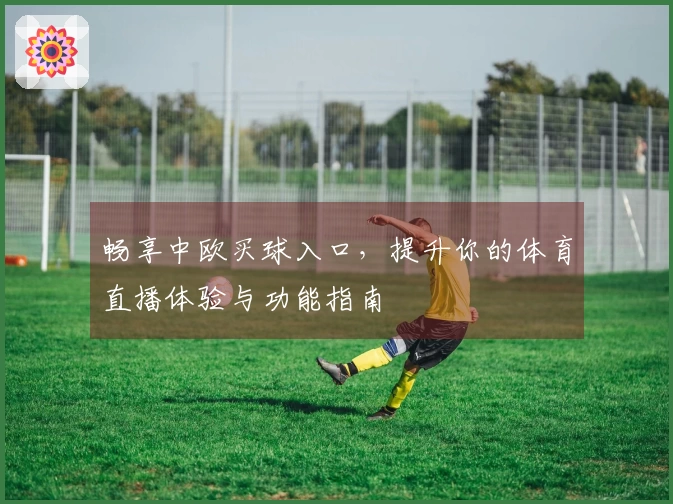 畅享中欧买球入口，提升你的体育直播体验与功能指南