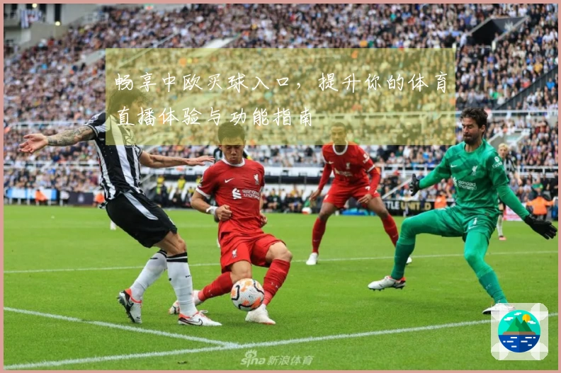 畅享中欧买球入口，提升你的体育直播体验与功能指南